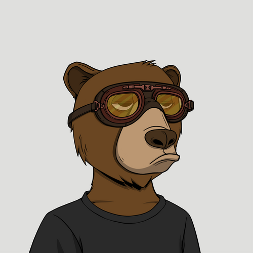 Cash Bear #1491