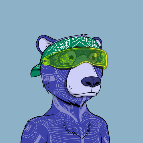 Cash Bear #311